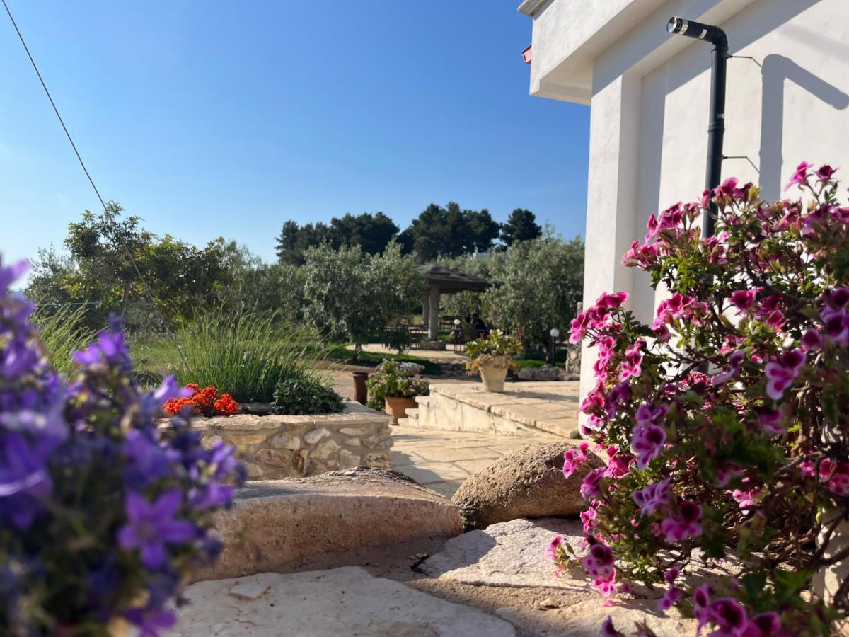 B&B Le Cicale Vieste Zewnętrze zdjęcie