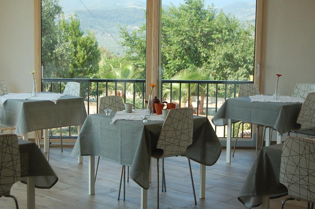 B&B Le Cicale Vieste Zewnętrze zdjęcie