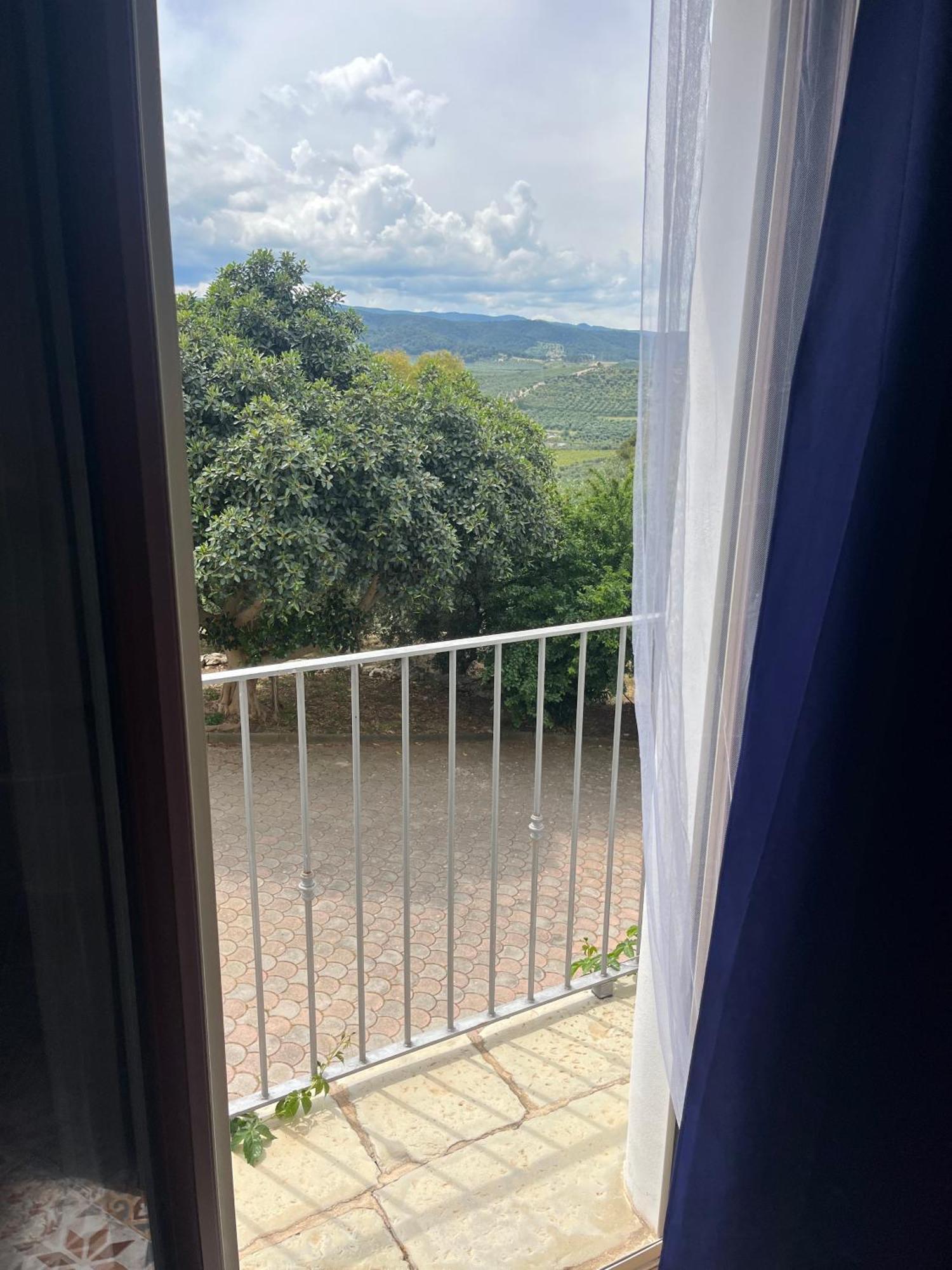 B&B Le Cicale Vieste Zewnętrze zdjęcie