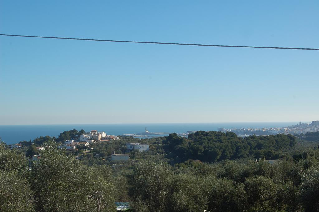 B&B Le Cicale Vieste Zewnętrze zdjęcie