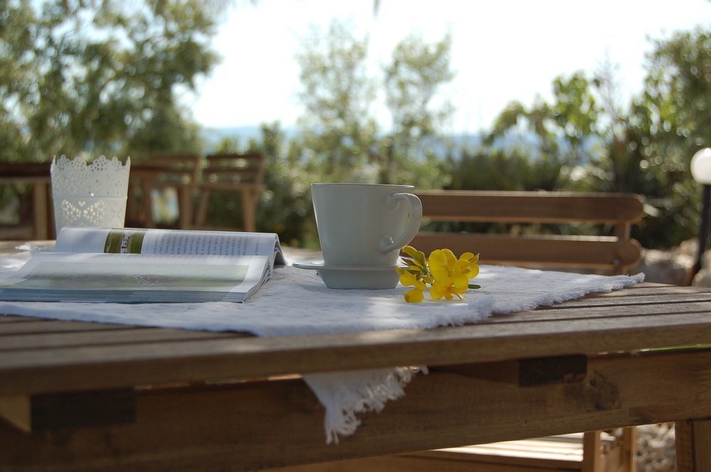 B&B Le Cicale Vieste Zewnętrze zdjęcie