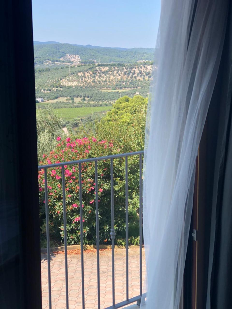 B&B Le Cicale Vieste Zewnętrze zdjęcie